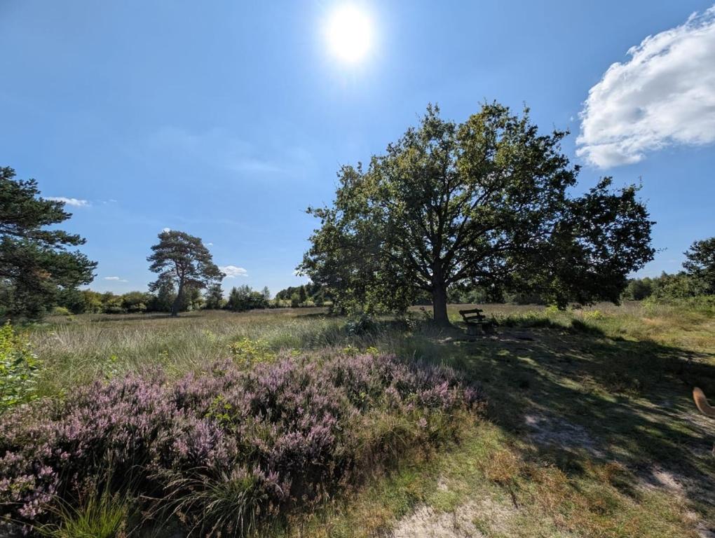 Paesaggio naturale nelle vicinanze della casa vacanze