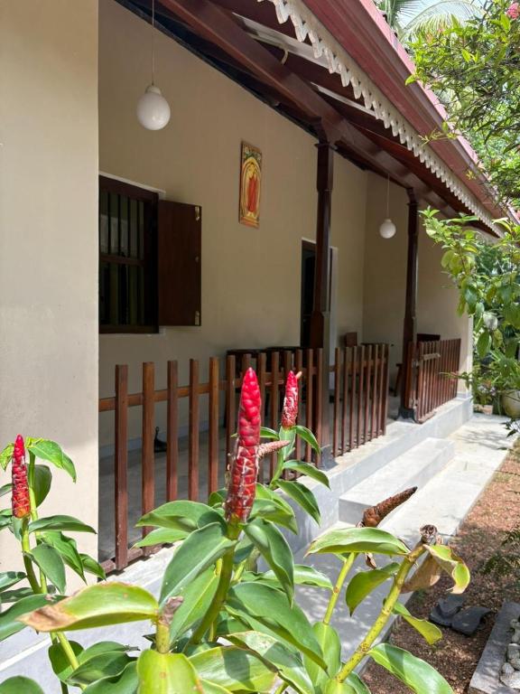 a plant with red flowers in front of a house at John's Homestay in Talpe