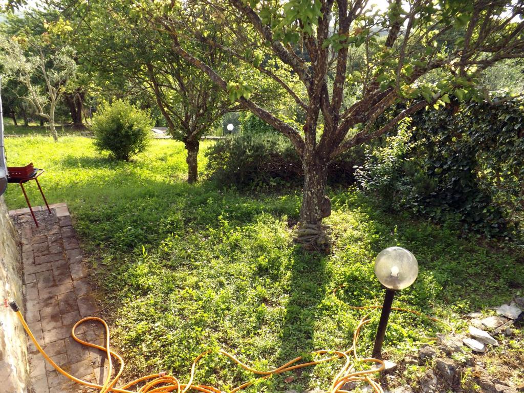 Zahrada ubytování Dimora nel Chianti