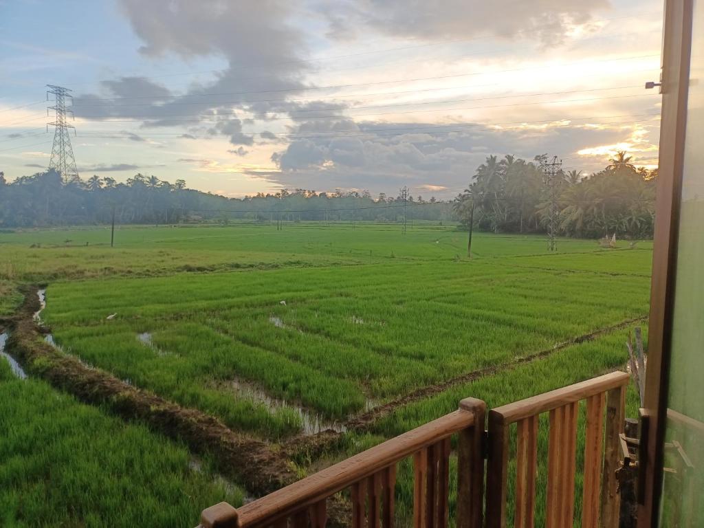 een balkon met uitzicht op een groen veld bij Paddy Edge Ahangama in Ahangama