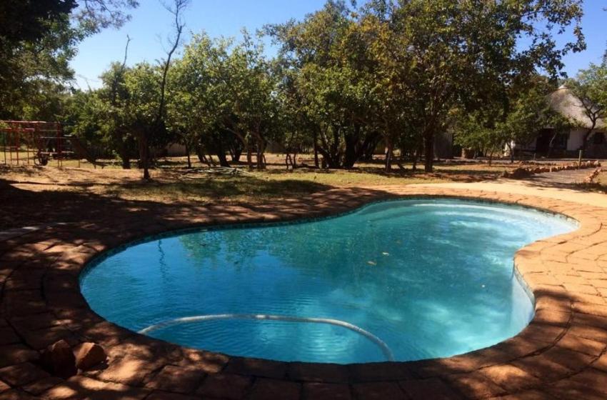 een klein zwembad van blauw water in een tuin bij Out of Africa Lodge in Hartbeespoort