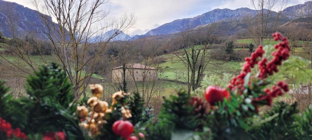 Naturlandskabet i nærheden af feriehuset