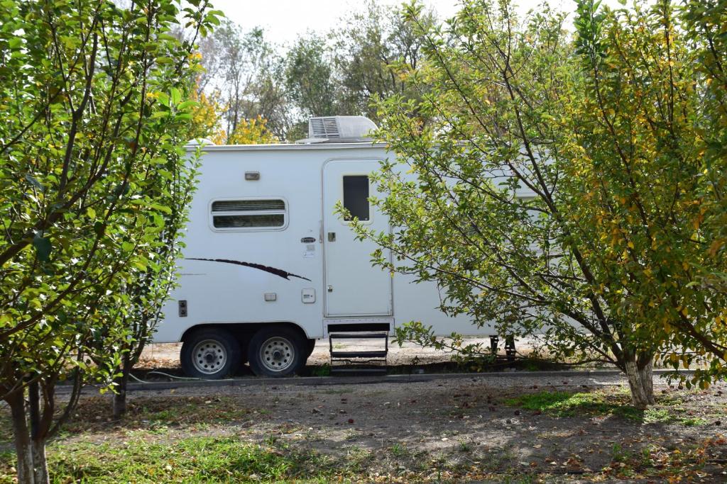 Fotografie z fotogalerie ubytování Caravansarai campsite Кемпинг Караван-сарай v destinaci Kalīnīno