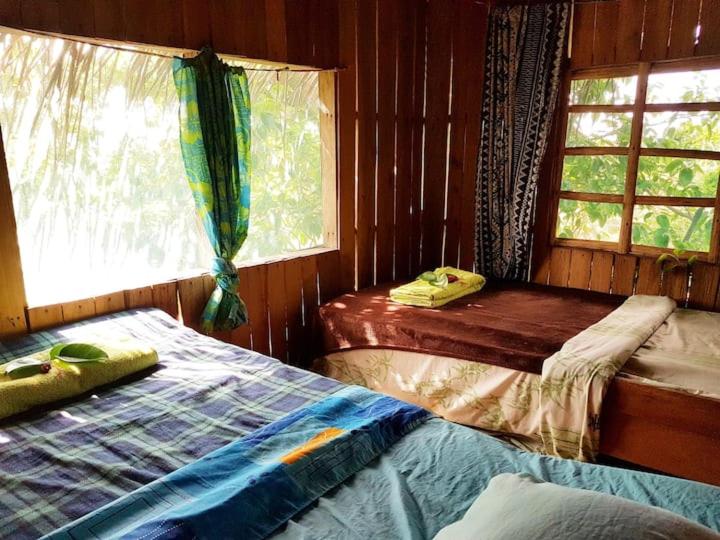 two beds in a room with a window and a bed sidx sidx sidx at Yasur Backpackers Bungalow & Tree House in Tanna Island