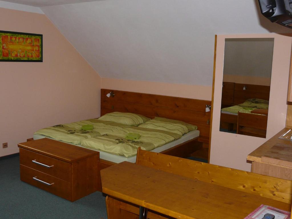 Wellness Penzion Palice - 4