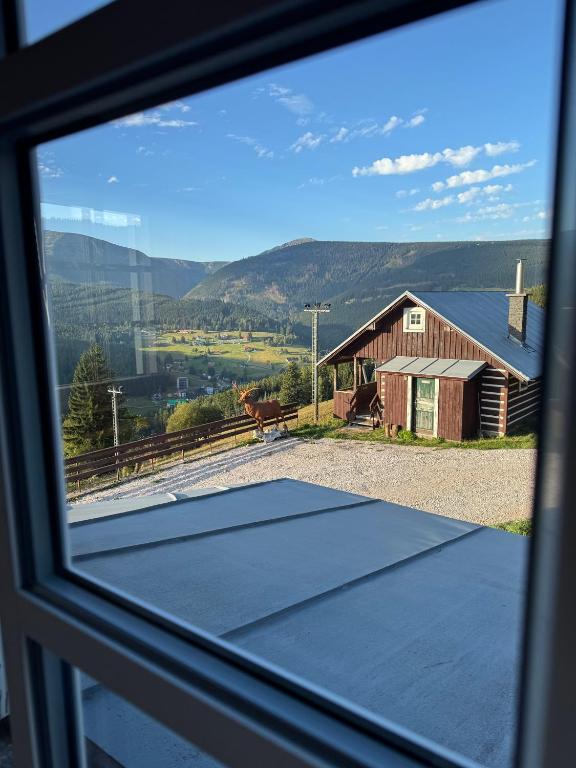 Bílá Labuť Pec - 8