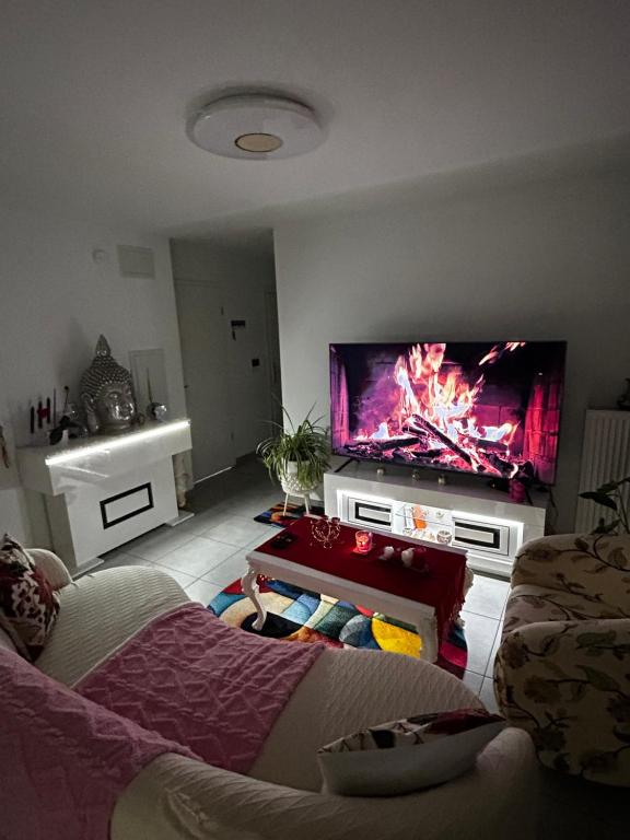 イルキルシュ・グラフェンスタデンにあるApparemment 3 pièce Strasbourg Ilkirch graffenstadenの薄型テレビとソファのあるリビングルーム