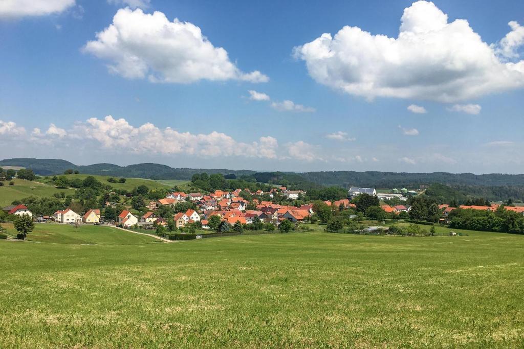 a field of green grass with houses in the background at Ferienwohnung am Rennsteig in Gerstungen