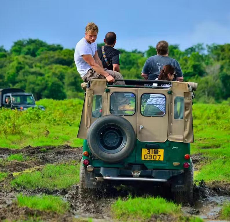 Huéspedes de Moonrise on the Mara