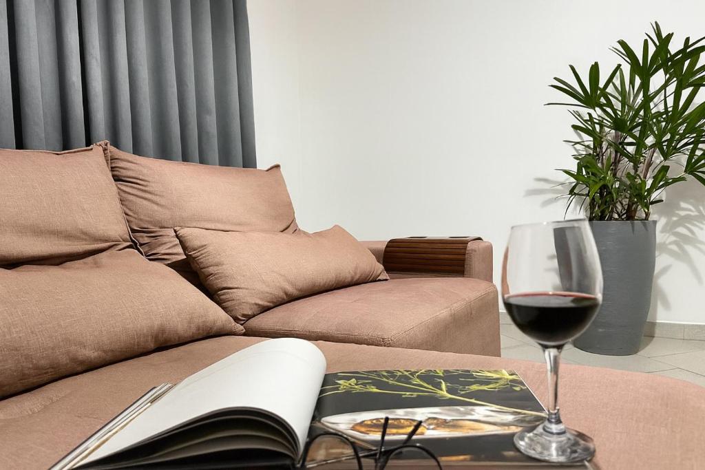 uma sala de estar com um sofá e um copo de vinho em Acolhedora casa de 03 quartos em Passos