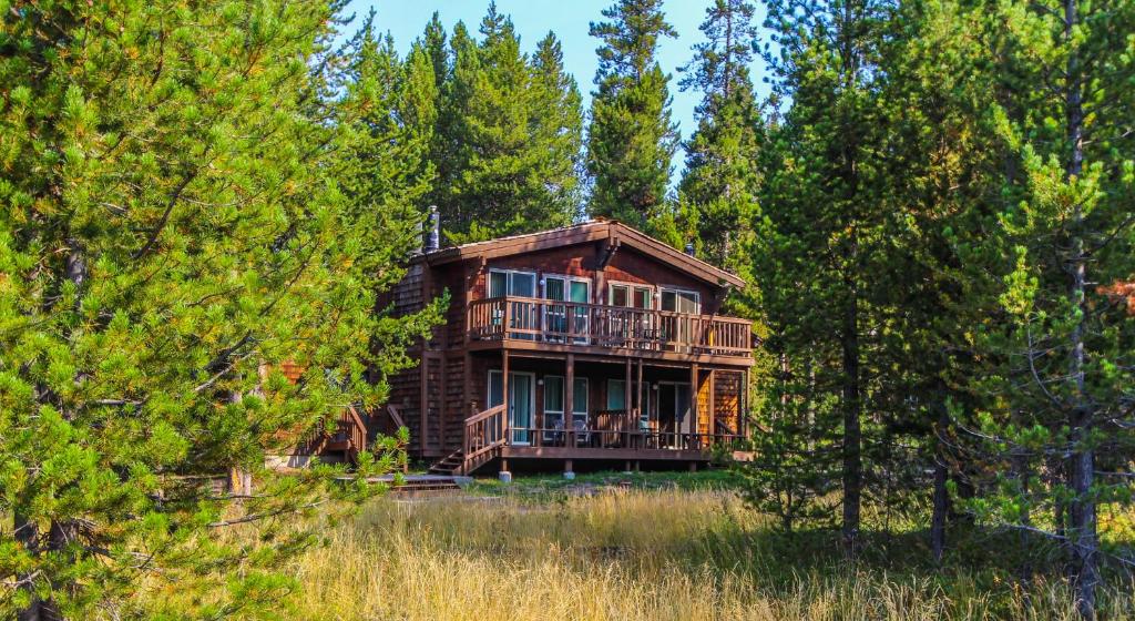 Příroda nedaleko rezortu