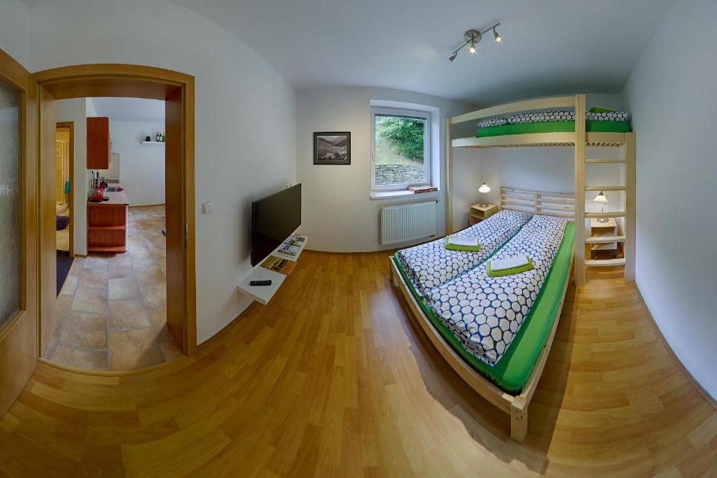 a bedroom with a bunk bed and a living room at Studio Markéta in Pec pod Sněžkou