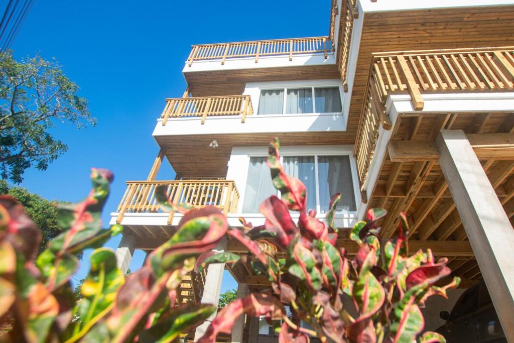 um edifício com uma planta em frente em West End's Famous Comfy Sloth em Roatan