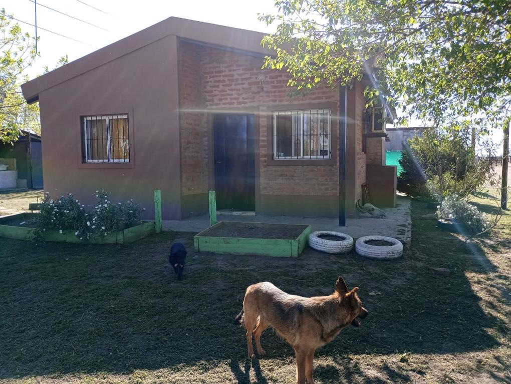 Cabaña Los Changuitos