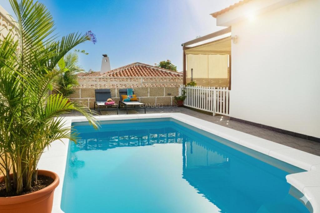 een zwembad in de achtertuin van een huis bij La Marieta in Callao Salvaje