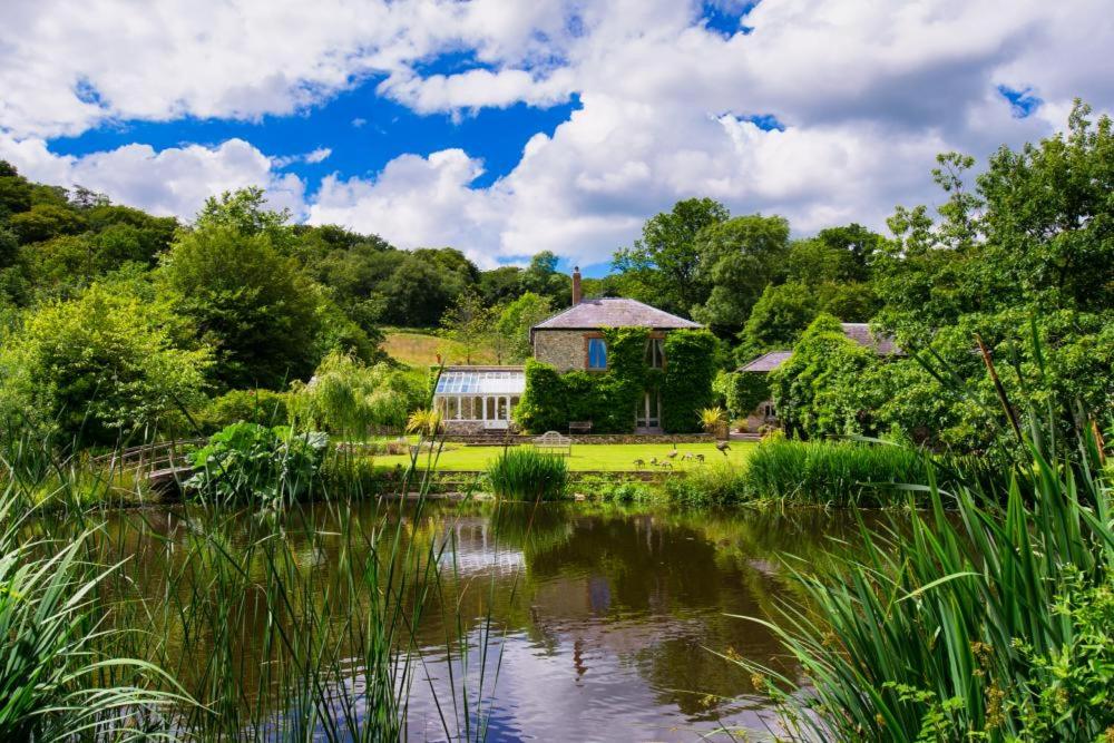 Příroda nedaleko prázdninového domu