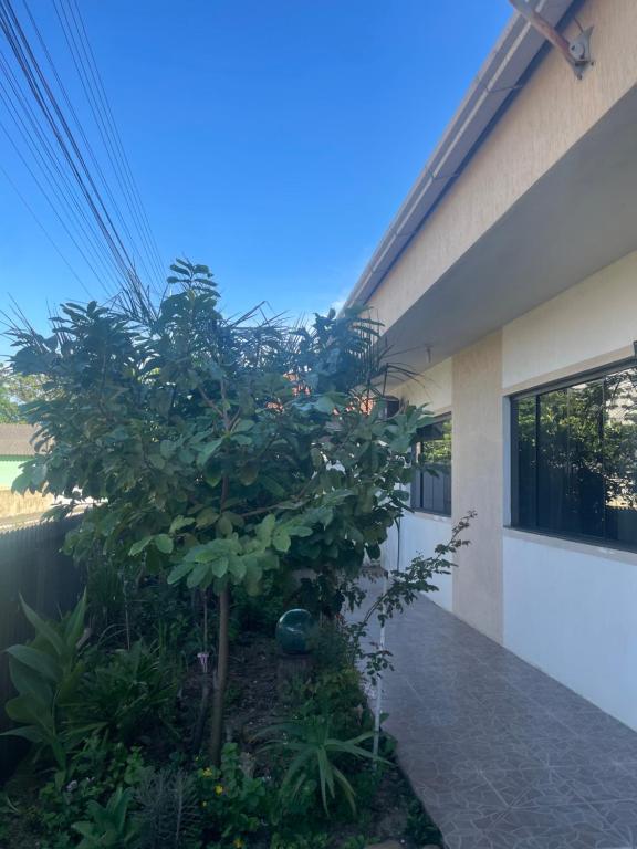 Κήπος έξω από το Casa de Praia Navegantes - 100 metros do mar