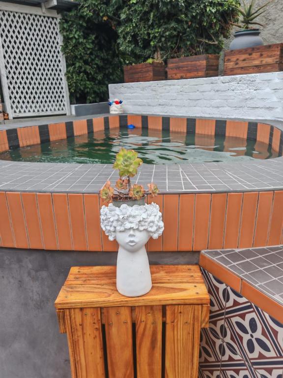 a vase filled with flowers on a table next to a pool at 36 Mount Road Guesthouse and Self Catering in Port Elizabeth