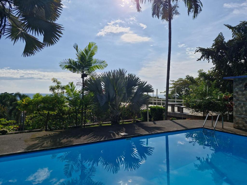 a blue swimming pool with palm trees in the background at El Diamante - Playa Hermosa in Playa Hermosa
