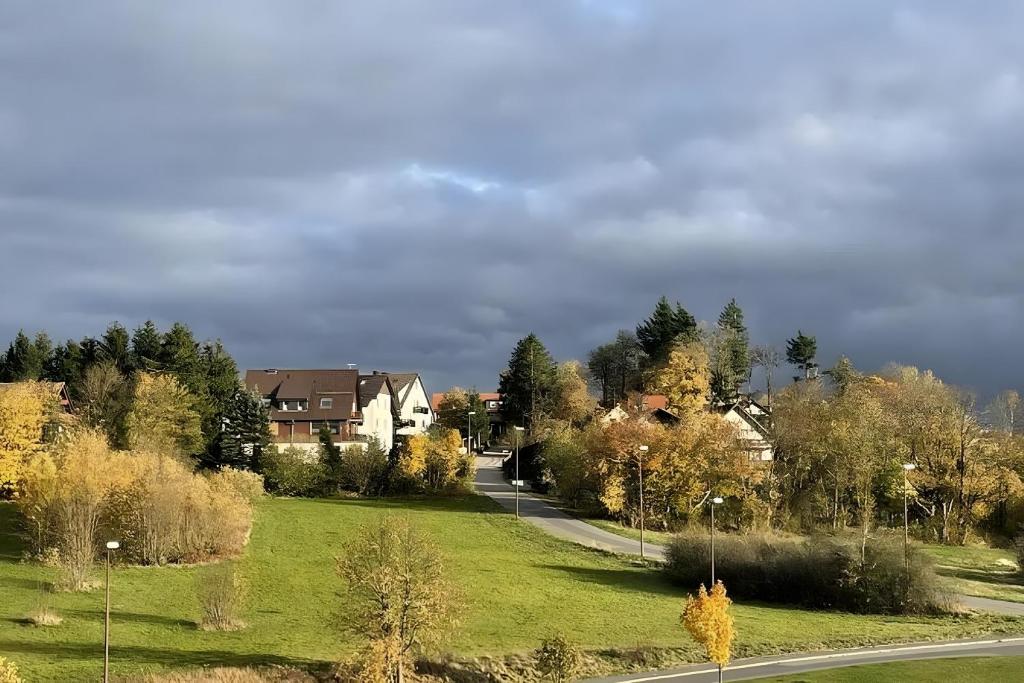 une rue dans une ville avec des maisons et des arbres dans l'établissement Geißenblick, à Hohegeiss