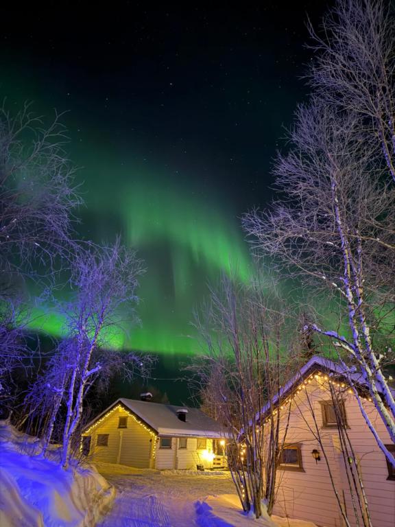 Naturlandskabet i nærheden af lejlighedshotellet