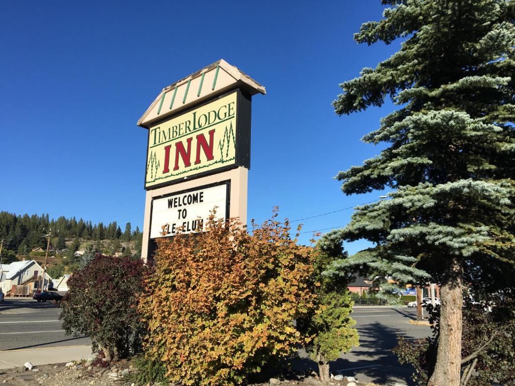 a sign for a hotel room inn next to a tree at Timber Lodge Inn in Cle Elum