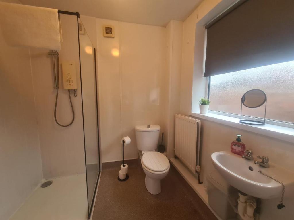ein Badezimmer mit Toilette, Waschbecken und Dusche in der Unterkunft Cosy 3 bed House South Shields in Jarrow