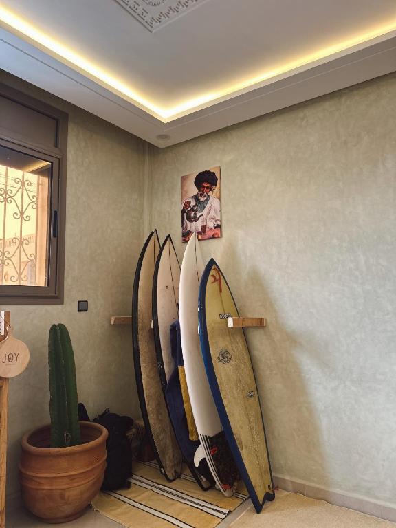three surfboards are lined up against a wall at Cool Surfers in Tamraght Ouzdar