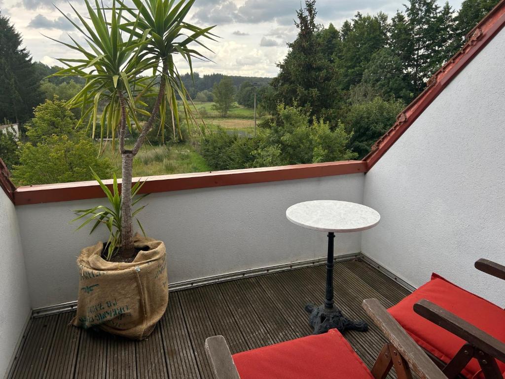 un balcone con tavolo e palma di Natur, Kultur und Wandern a Losheim