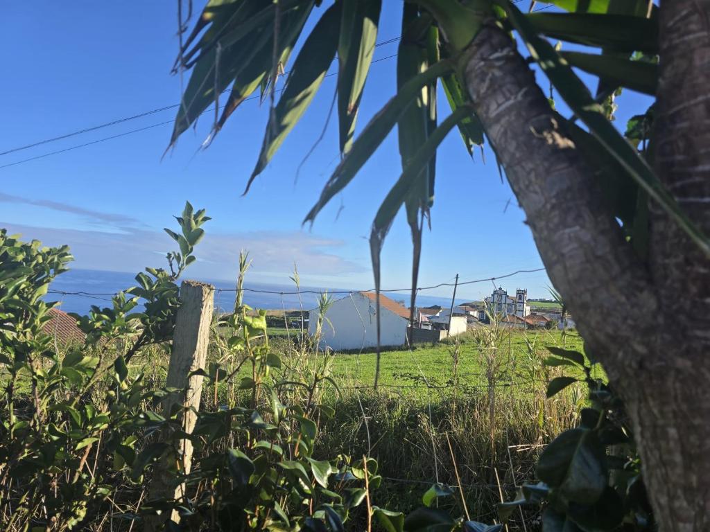een veld met een hek en een boom bij Recanto Vital in Achadinha