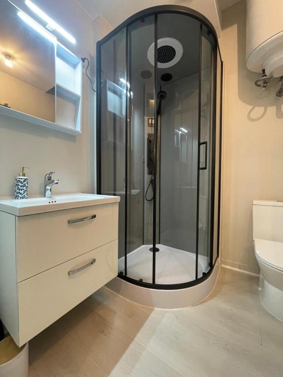 a bathroom with a shower and a sink at Studio centre-ville in Besançon