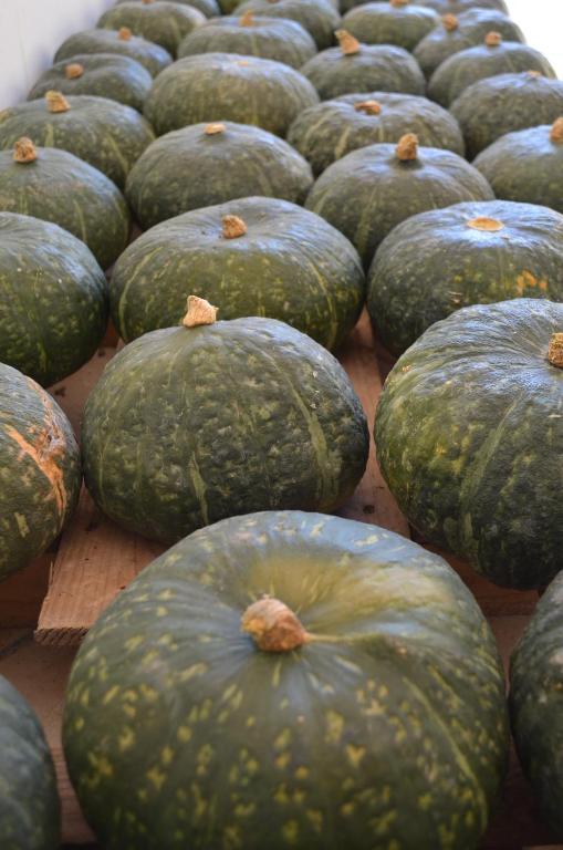 Kép Agriturismo Dondino szállásáról Cavrianában a galériában