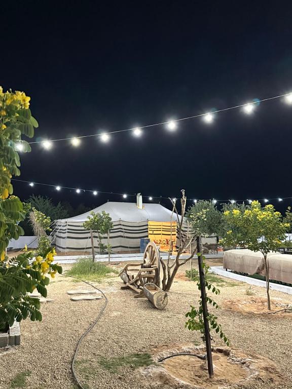 een grote witte tent met verlichting in een tuin 's nachts bij منتجع ومزرعة برزان in Ad Diḩwah