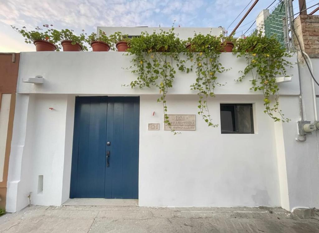 Un edificio blanco con una puerta azul y plantas. en Casa Buenaventura, en Mérida