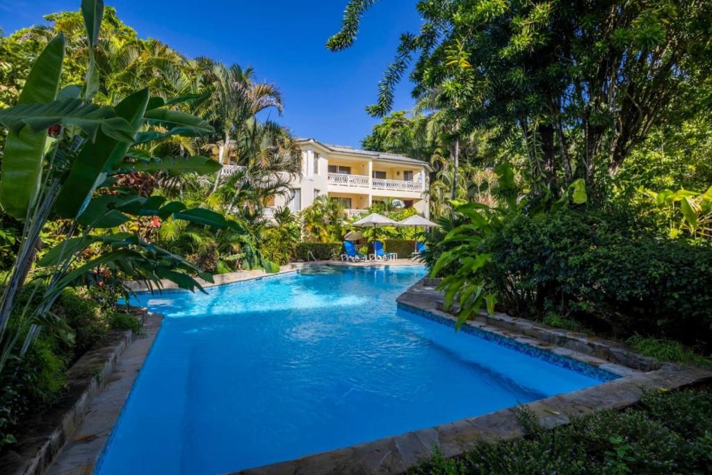 Swimmingpoolen hos eller tæt på Renaissance Residence Cabarete