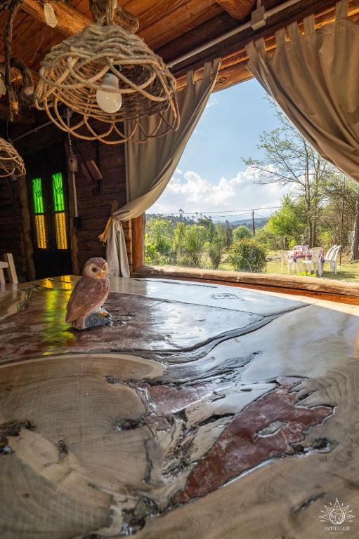 Intihuasi Casa del Sol