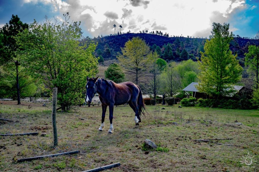 Intihuasi Casa del Sol