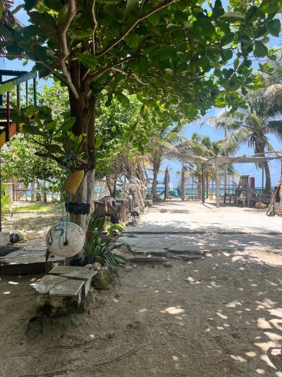 Fotografie z fotogalerie ubytování Nirvana Maya v destinaci Mahahual