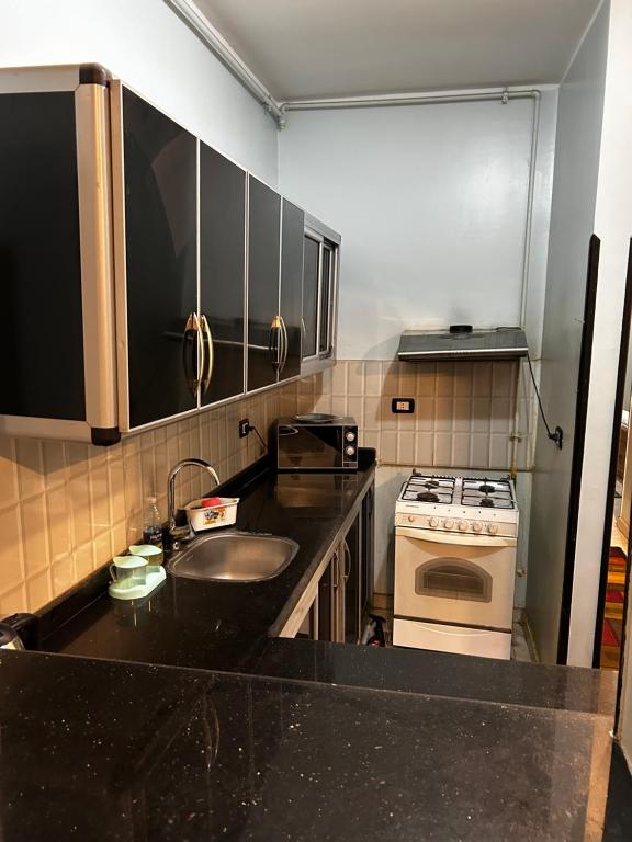 Kuchyň nebo kuchyňský kout v ubytování Queen of the Nile