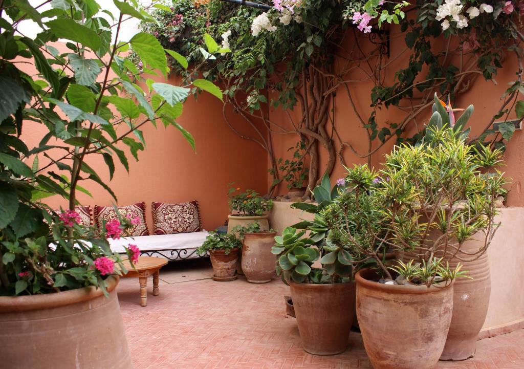 un patio con un mucchio di piante in vaso e una panca di Tifawin Home And Garden a Mirleft