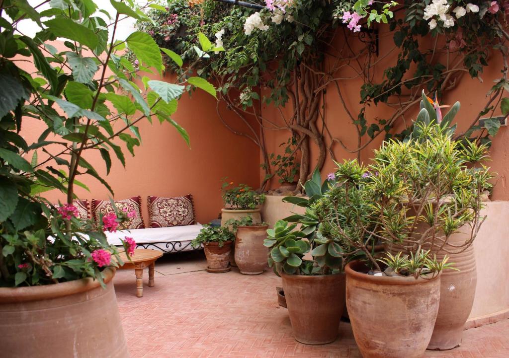 Un jardín fuera de Tifawin Home And Garden