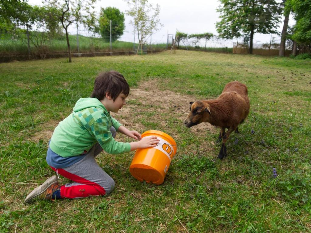 Foto  asuva majutusasutuse Landhaus in den Weinbergen galeriist