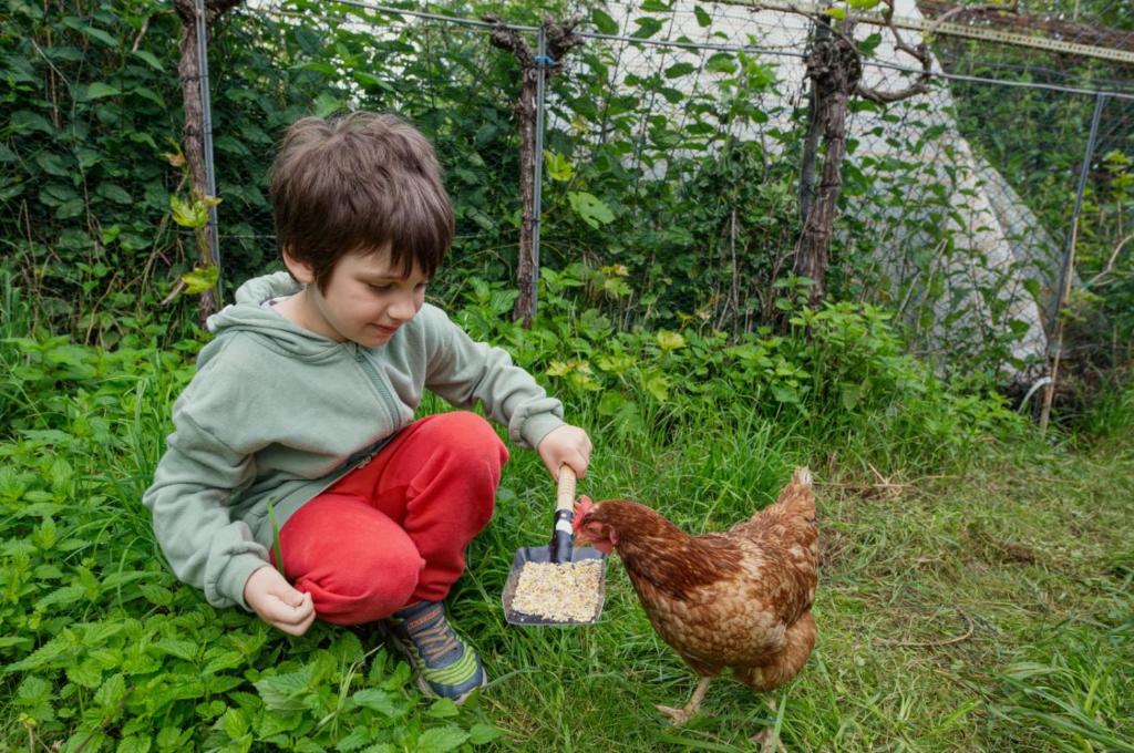 Ein kleiner Junge sitzt auf dem Boden und füttert ein Huhn. in der Unterkunft Landhaus in den Weinbergen 