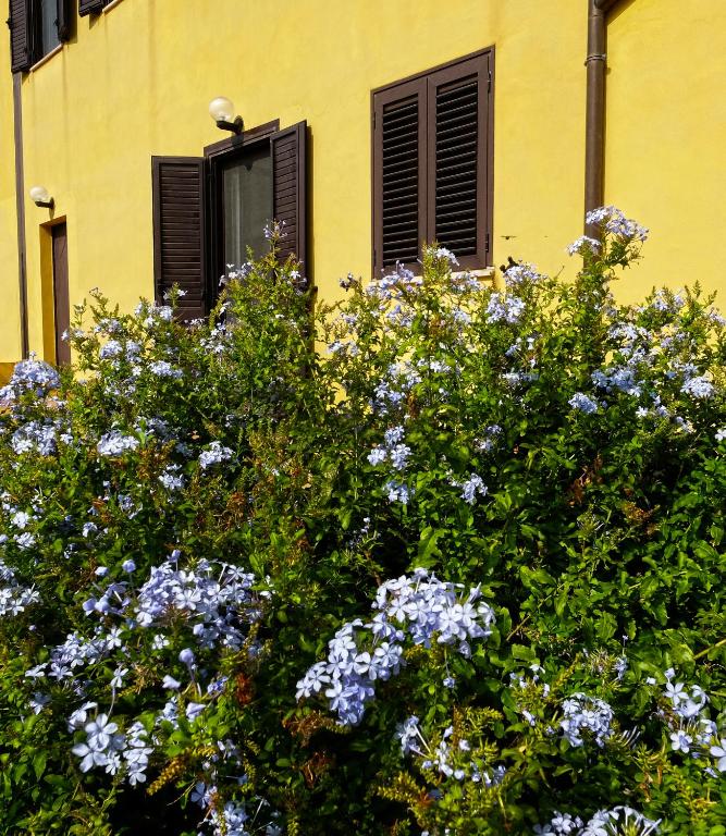 Zahrada ubytování Vistazzurra B&B