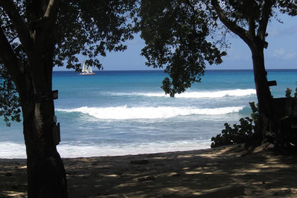 una vista dell'oceano dalla spiaggia di 103 Batts Rock Beach Condo's a Saint Michael