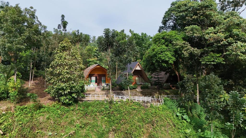 TangkahanにあるGreen Forest Tangkahanの森の真ん中にある小さな家