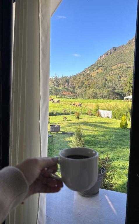 Glamping Al Pie del Cerro