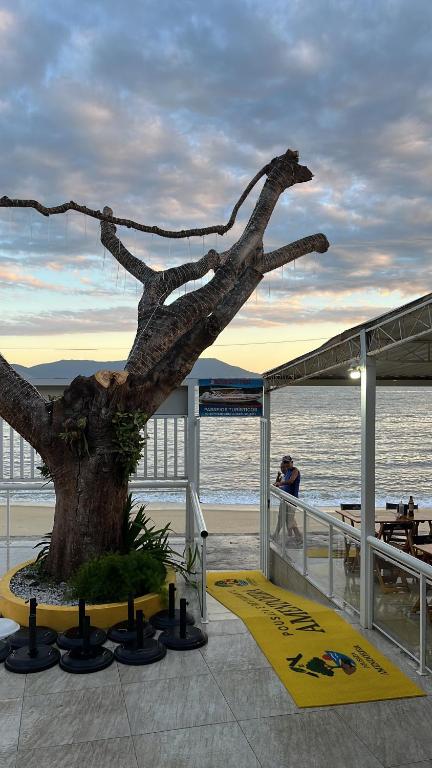 Příroda nedaleko hotelu