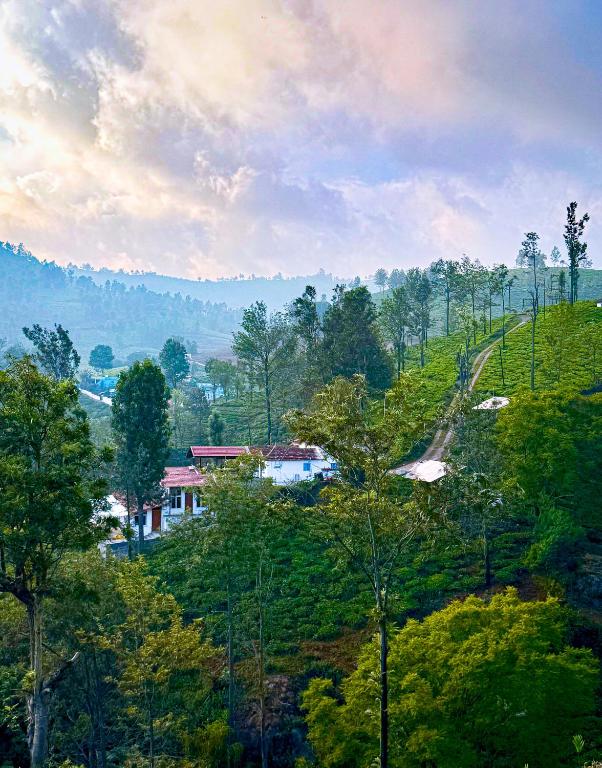 a house on a hill with trees and a road at Mad & Nomad Backpackers Hostel in Coonoor