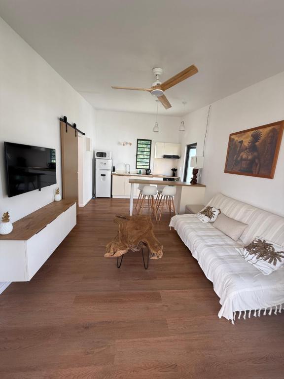 TV a/nebo společenská místnost v ubytování Moorea Tiki Lodge